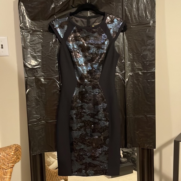 Ted Baker Dress - Picture 1 of 7